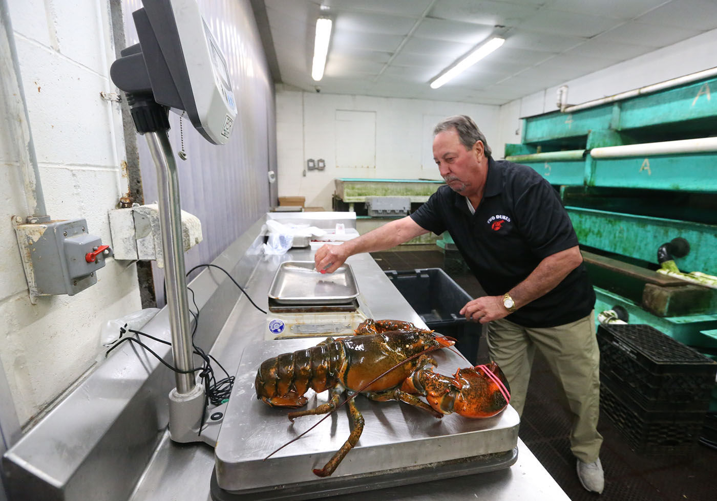 Casino lobster pleasantville casino las mylasvegas1.us vacation vegas